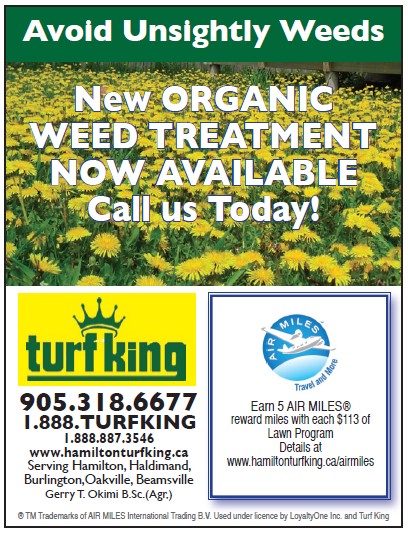 Avoid Unsightly Weeds -use Turf King